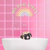 Pink positive quote background, dog design