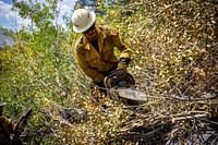 Caldor Fire. The Aravipa Hotshots work on the Caldor Fire near South Lake Tahoe. Photo by Joe Bradshaw, BLM. Original public domain image from Flickr