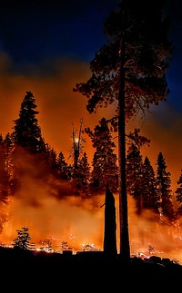 2021 BLM Fire Employee Photo Contest Winner Category: Fire Prevention, Education, and Investigation2021 BLM Fire Employee Photo Contest Winner Category: Fire Prevention, Education, and InvestigationPhoto by Peter Fromherz, BLMThe Patton Meadow Fire burned actively at night.