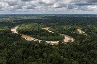 The Amazon rainforest is often called “the lungs of the world.” It produces oxygen and stores billions of tons of carbon every year. Original public domain image from Flickr