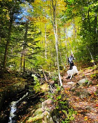 Person and dog hiking below trees in fall color and creek on Peaked Mountain in the Adirondack Park, North River, NY, on Oct 2, 2022. Courtesy photo by Emily de Vinck.