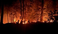 Firefighters silhouette in wildfire. Original public domain image from Flickr
