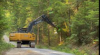 Eqpt RdsdeFuelBreaks CdrCrkFire 220810 (1)Heavy equipment helps with roadside fuel breaks during the Cedar Creek Fire on the Willamette National Forest in 2022. The Cedar Creek Fire began August 1, 2022 when a lightning storm caused 20 to 30 new fires on the Willamette National Forest.