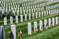 American flags line Arlington National Cemetery.