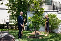 President Joe Biden and First Lady Jill Biden participate in a tree planting ceremony with gold star family members on Memorial Day, Monday, May 30, 2022, on the South Lawn of the White House. (Official White House Photo by Adam Schultz)