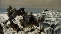 Capercaillies in a winter landscape, 1899, Bruno Liljefors