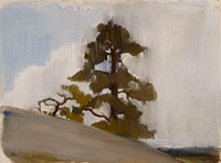 Pine, Einar Ilmoni