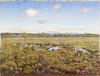 Landscape from lapland, 1892, by Thorsten Wasastjerna