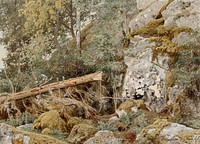 Sammaleinen kallio metsässä, 1857, Werner Holmberg