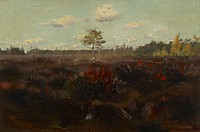 Bog in lapland, 1892, by Thorsten Wasastjerna