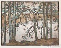 Lake shore with reeds, 1912, Eero Järnefelt