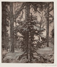 Snowy forest, 1900 - 1937, Eero Järnefelt