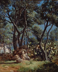 Oliivimetsä, 1885, Aukusti Uotila