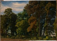 Landscape in germany, study, 1854, Werner Holmberg