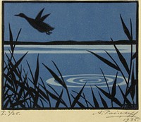 Duck taking flight, 1935, Alexander Paischef