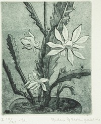 Kaktus, 1931, Anders Gunnar Holmqvist