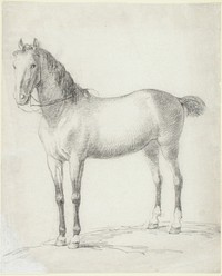 Seisova hevonen, 1789 - 1823, by Alexander Lauréus
