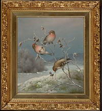 Mealy redpolls, 1889, by Ferdinand von Wright