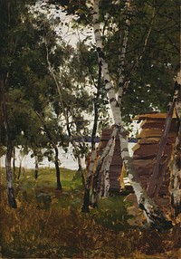 Maisemaluonnos, lemström, 1885, Victor Westerholm