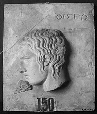 Head of Theseus in profile to left (modern inscription)