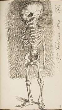 Sketch of a standing skeleton