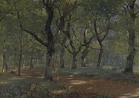 In the woods by Adolph Larsen