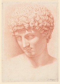 Head of Apollo by Giuseppe Longhi