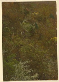 Hillside with Trees, Jamaica, Frederic Edwin Church