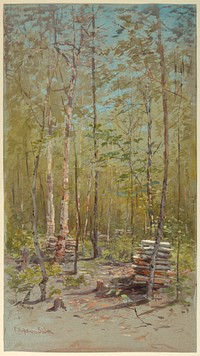 Birch Trees, Francis Hopkinson Smith