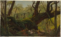 Rain Forest, Jamaica, Frederic Edwin Church