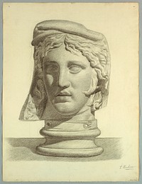 Head of a Roman matron (rendering from a plaster cast), Pietro Montana