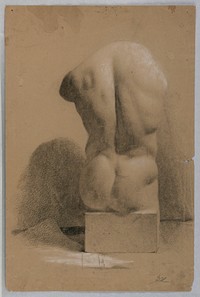 Male Torso From a Plaster Cast, Daniel Huntington