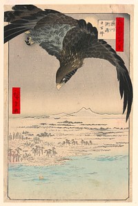 Plain at Suzaki Fukagawa (Fukagaw Susaki, Juman-tsubo) From the Series One hundred Views of Edo, by Utagawa Kuniyoshi