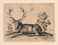 Stag, Wenceslaus Hollar