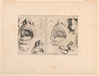 Studies of features, Jusepe De Ribera