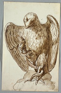 Eagle and Snake