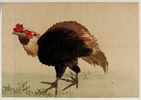 Rooster by Katsushika Hokusai