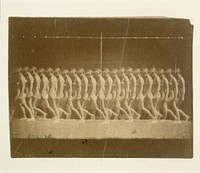 Marey Wheel Photographs of Unidentified Model, Thomas Eakins