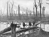 Soldiers of an Australian 4th Division field artillery brigade on a duckboard track passing through Chateau Wood, near Hooge in the Ypres salient, 29 October 1917. The leading soldier is Gunner James Fulton and the second soldier is Lieutenant Anthony Devine. The men belong to a battery of the 10th Field Artillery Brigade.Note: Photo from the devastated castle park, belonging to Château de Hooge at Ypres (kasteelpark van het Kasteel 't Hooghe, Ieper), where the frontline with trenches moved back and forth 1914-1918. The castle was heavily shelled on 31 Oct. 1914, killing the staff of the three British divisions using it as headquarters and the ruins were conquered several times by each side. Hooge is now a memorial site.