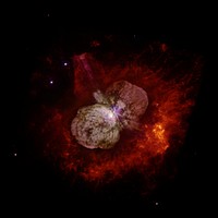 A huge, billowing pair of gas and dust clouds are captured in this stunning NASA Hubble Space Telescope image of the supermassive star Eta Carinae. Eta Carinae was observed by Hubble in September 1995 with the Wide Field and Planetary Camera 2 (WFPC2). Images taken through red and near-ultraviolet filters were subsequently combined to produce the color image shown. A sequence of eight exposures was necessary to cover the object's huge dynamic range: the outer ejecta blobs are 100,000 times fainter than the brilliant central star. Eta Carinae suffered a giant outburst about 160 years ago, when it became one of the brightest stars in the southern sky. Though the star released as much visible light as a supernova explosion, it survived the outburst. The explosion produced two lobes and a large, thin equatorial disk, all moving outward at about 1 million kilometers per hour.