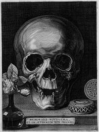 Galle the Elder Still life with skull