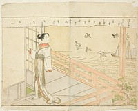 Double-page Illustration from Vol. 2 of "Picture Book of Spring Brocades (Ehon haru no nishiki)" by Suzuki Harunobu