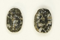 Scarab: Linear Motifs by Ancient Egyptian