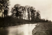 Kelmscott Manot: The Thames Near the Manor by Frederick H. Evans