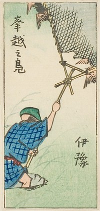 Catching Wild Ducks in Iyo Province (Iyo, okoshi no kamo), section of sheet no. 16 from the series "Cutout Pictures of the Provinces (Kunizukushi harimaze zue)" by Utagawa Hiroshige