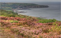Sea and sky, Robin Hood's Bay, blooming heather, the North York Moors, and an old Ford. 