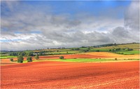 Sunlit fields, countryside sport area.