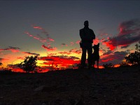 Happy retirement to K-9 Kahr, a 9 1/2-year-old German Shepherd/Belgian Malinois who entered retirement after eight years of faithful and loyal service as the BLM law enforcement partner of Law Enforcement Ranger, Ryan Parr. Original public domain image from Flickr