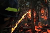 Fuels Management, Terra TorchIn this photo a firefighter is using a Terra Torch to assist with fuels treatment. Because of its range of forty feet a Terra Torch is useful to firefighters who are working in small groups or in steep terrain. Fuels treatments are conducted to reduce fuel loads. Fuel loading can be caused by dead and down trees as well as an overgrown understory. Through fuels treatments firefighters address the problem of excessive ground fuels while using terrain and optimal weather conditions to their advantage. The fuels treatment project captured here took place on the West Desert District in northwestern Utah. This is a 7.7-million-acre district managed by the Bureau of Land Management.  Photo Credit: Austin CatlinFire Operations SpecialistIdaho Falls District BLM 