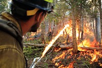 Firefighter is using a Terra Torch to assist with fuels treatment. 